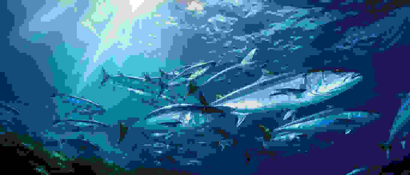 捕魚機遊戲